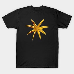 gold star T-Shirt